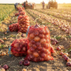 Sac Leno en gros sac d'oignon sac en filet de pomme de terre