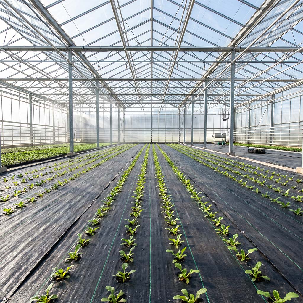 SUGRAND Barrière anti-mauvaises herbes directe en usine